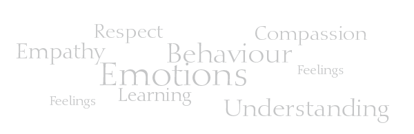 Acceptation, Comportement, Communication, Compassion, Concentration, Créativité, Détermination, Emotions, Empathie, Sentiments, Bonheur, Humilité, Humour, Intégrité, Savoir, Ecoute, Ouverture, Patience, Paix, Positivisme, Respect, Estime de soi, Tolérance, Confiance, Compréhension.